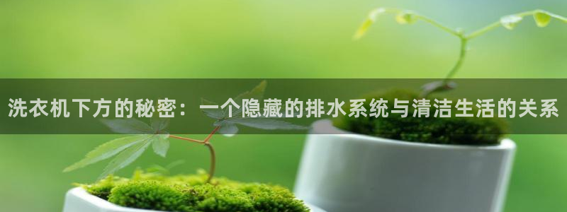 球盟会有限公司怎么样