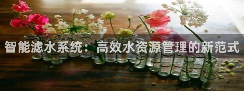 球盟会黑台子