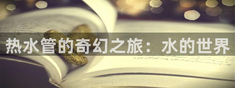 球盟会优惠券