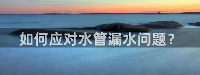 球盟会下载最新版