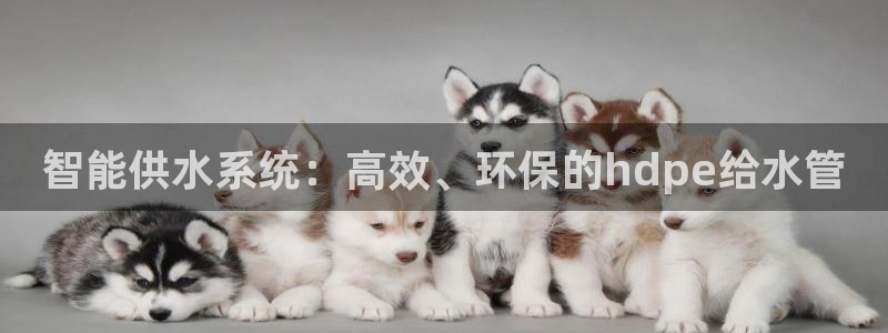 球盟会黑款吗是真的吗
