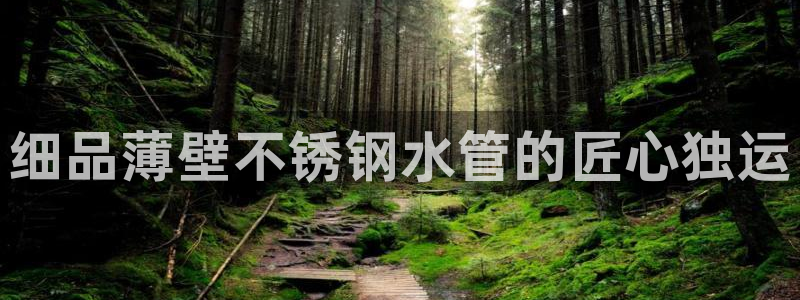 球盟会app最新地址在哪找