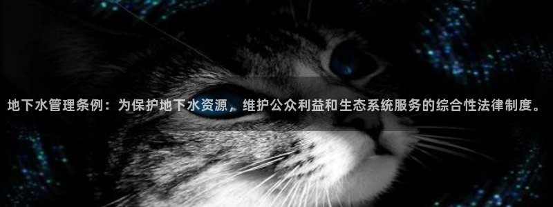 球盟会黑款吗还是白款