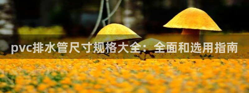 千亿球盟会乐玩