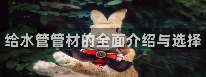 球盟会手机网页版