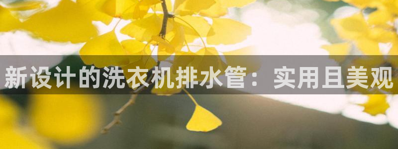 球盟会中国官方网站