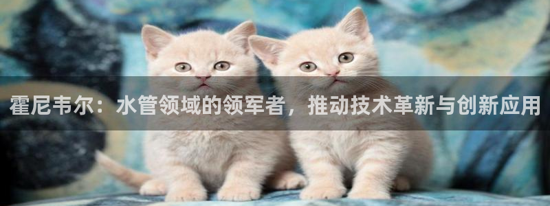 球盟会最新地址备用