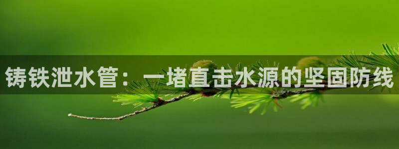 球盟会综合体育平台