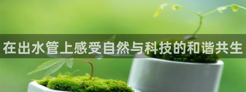 球盟会出款黑了