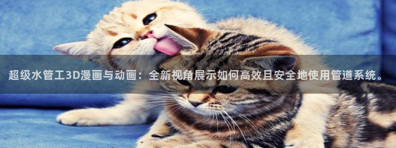 球盟会最新网