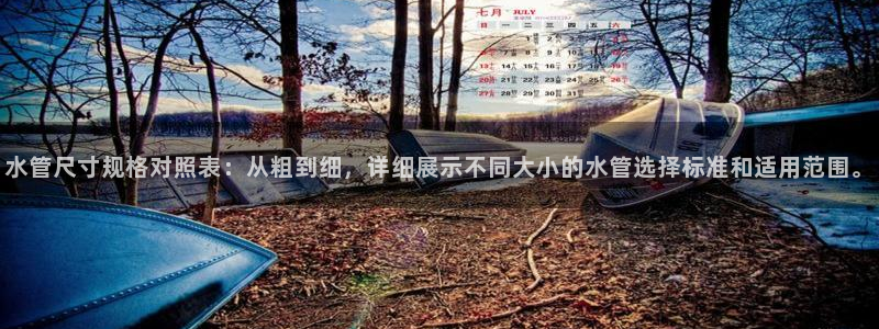 球盟会网址多少