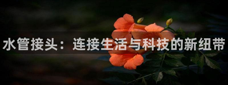 球盟会网址qm9 - 球盟会qmh网页版登录