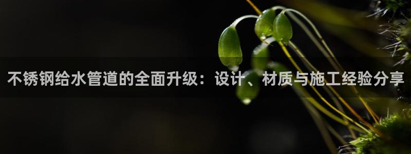 球盟会贴吧