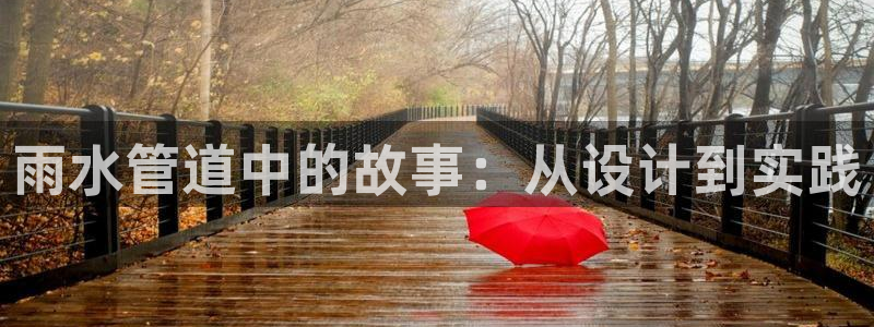 球盟会官方入口
