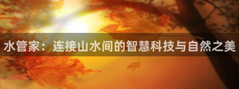 球盟会提款支付宝怎么样