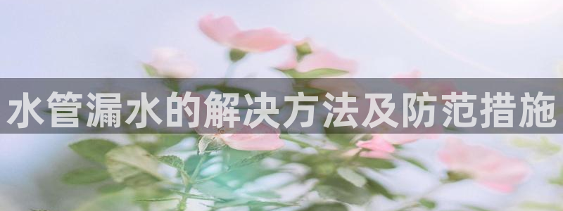 球盟会登陆