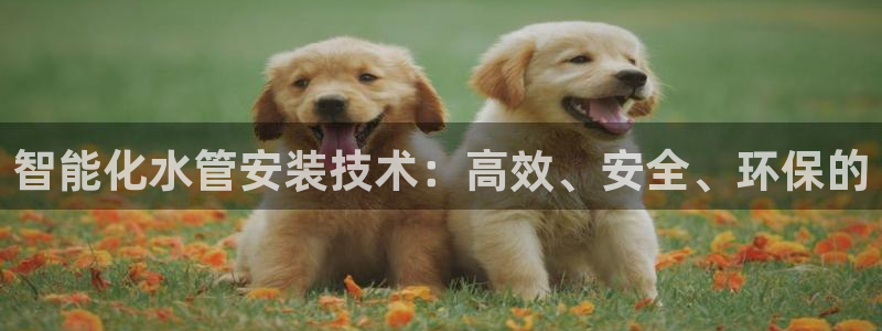 球盟会电子