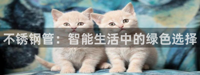 球盟会综合app下载