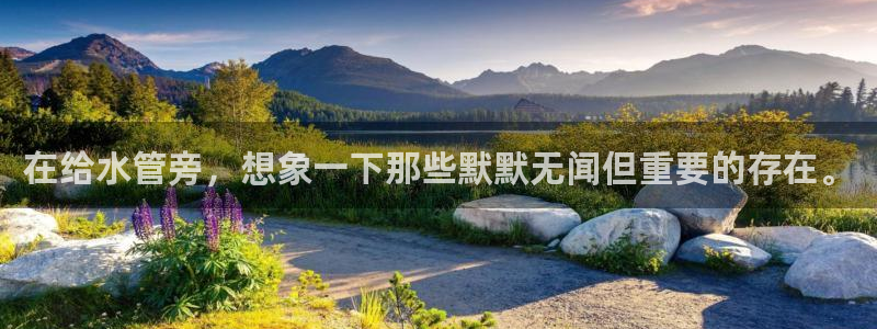 球盟会黑台子吗