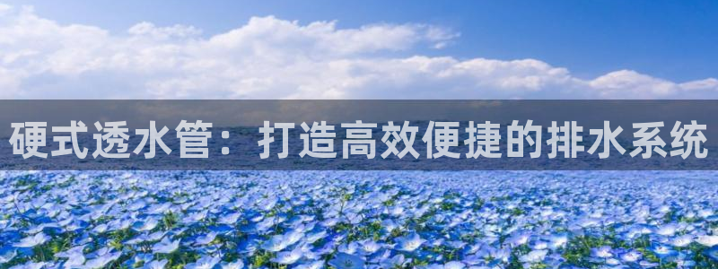 球盟会里面有打牌的嘛