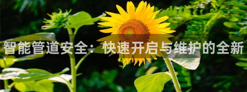 球盟会app安装