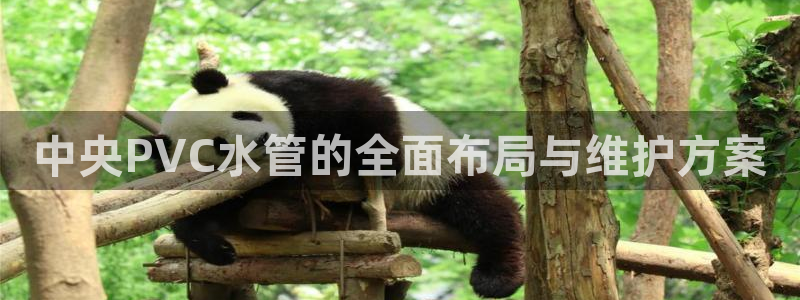 球盟会贴吧