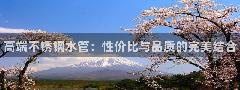 球盟会黑台