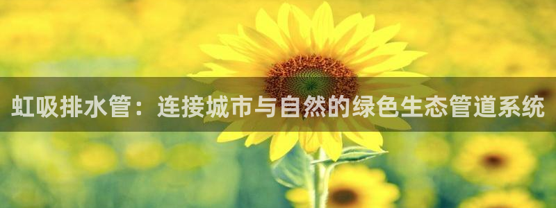 球盟会官方网站是什么