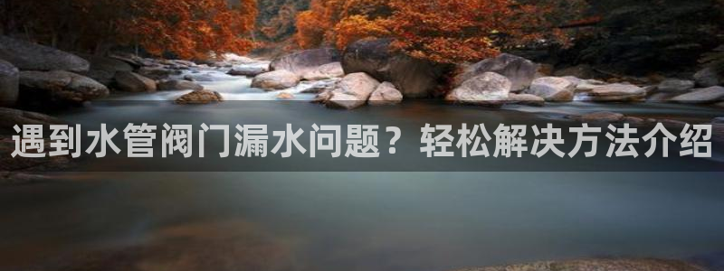 球盟会APP最新地址