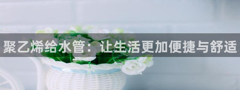 球盟会官方客服