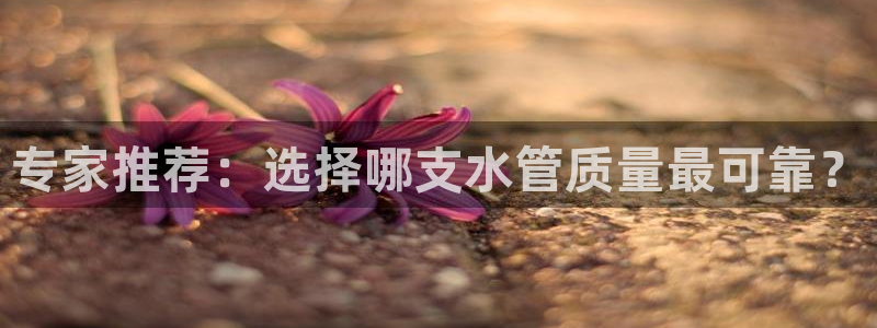 球盟会(中国)官方网站