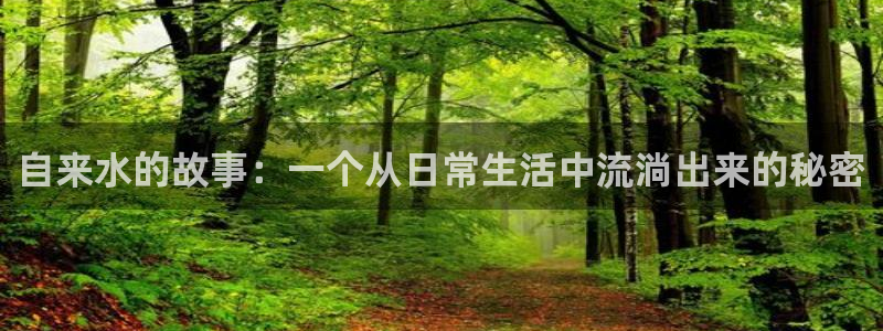 球盟会官方