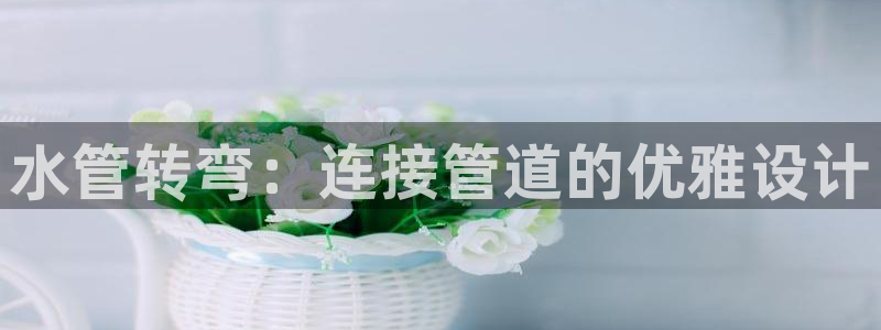 球盟会官方平台入口