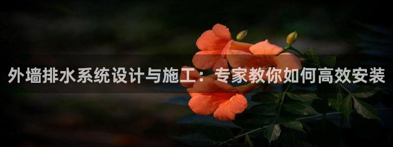 球盟会连接
