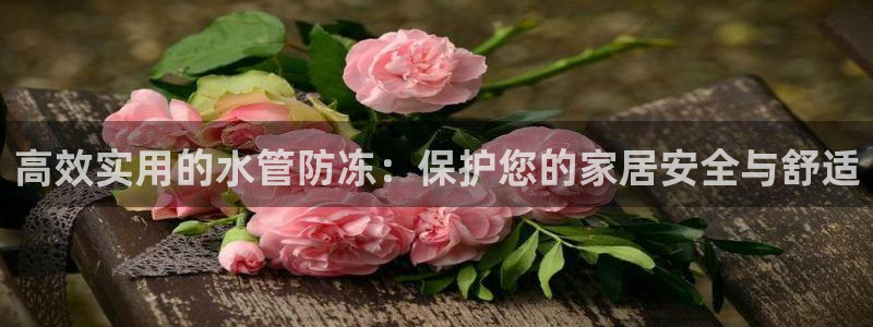 球盟会电子游戏平台