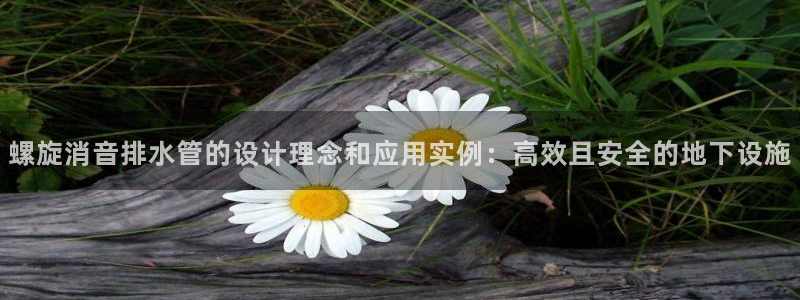球盟会可以提现么现在