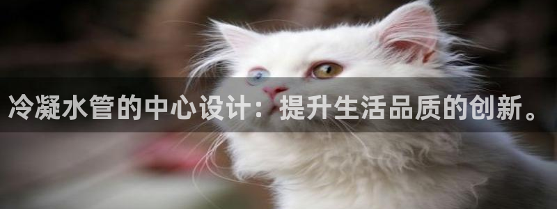 球盟会综合体育平台怎么样