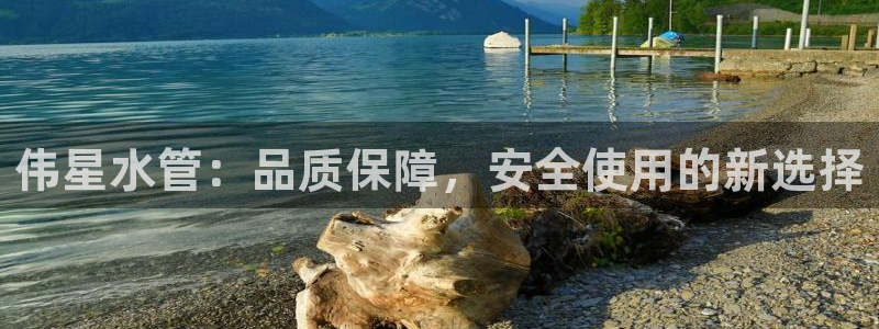 球盟会登陆中心