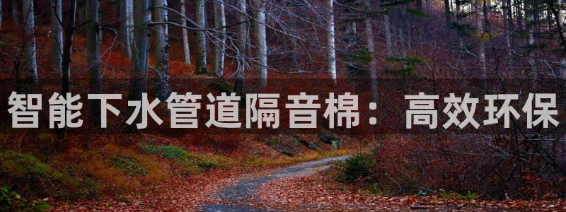 球盟会头号玩家