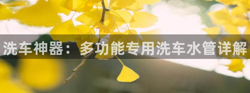 球盟会登录入口