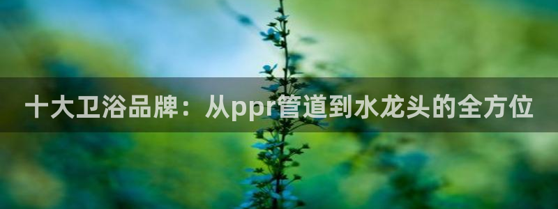 球盟会下款快吗