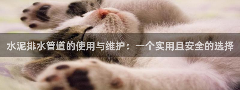 球盟会优惠码