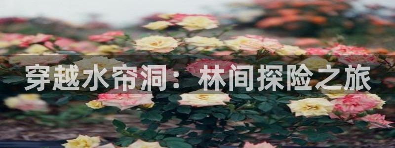 球盟会黑嘛