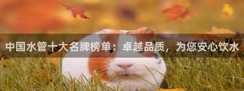 球盟会几点玩合适