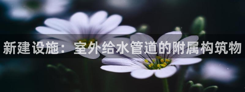 球盟会APP最新地址