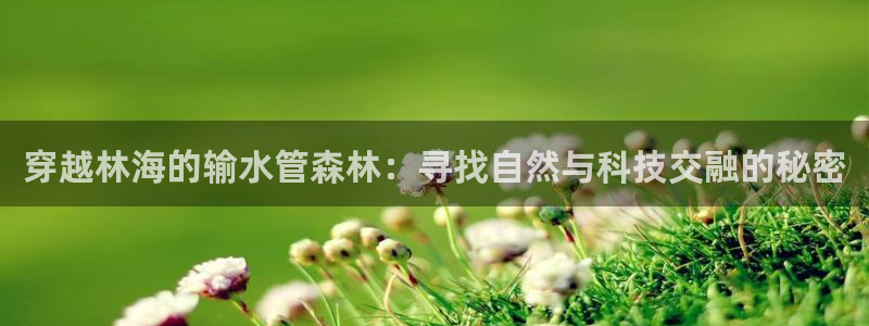 球盟会(中国)官方网站