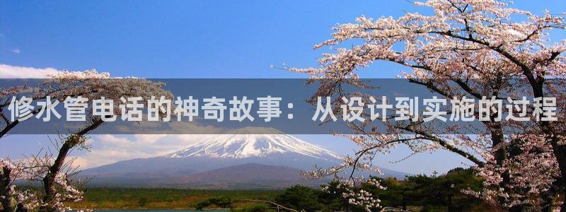 球盟会游戏几点玩合适