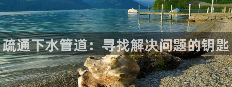 球盟会和中欧