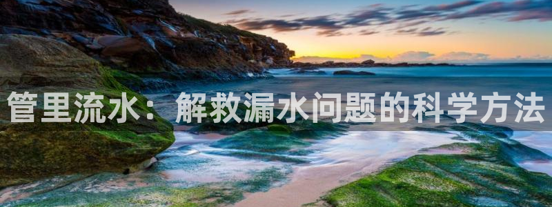 球盟会综合app下载