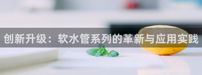 球盟会头号玩家是谁